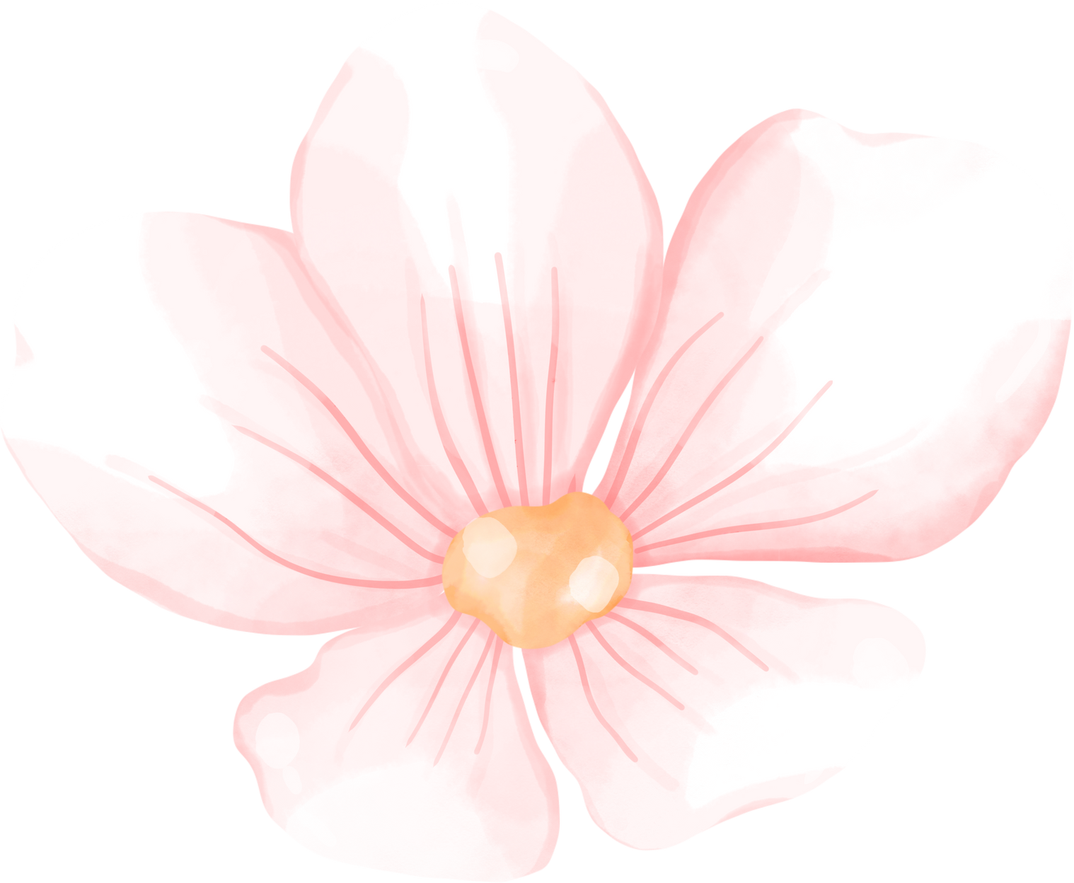 Illustrartion of Pink Flower